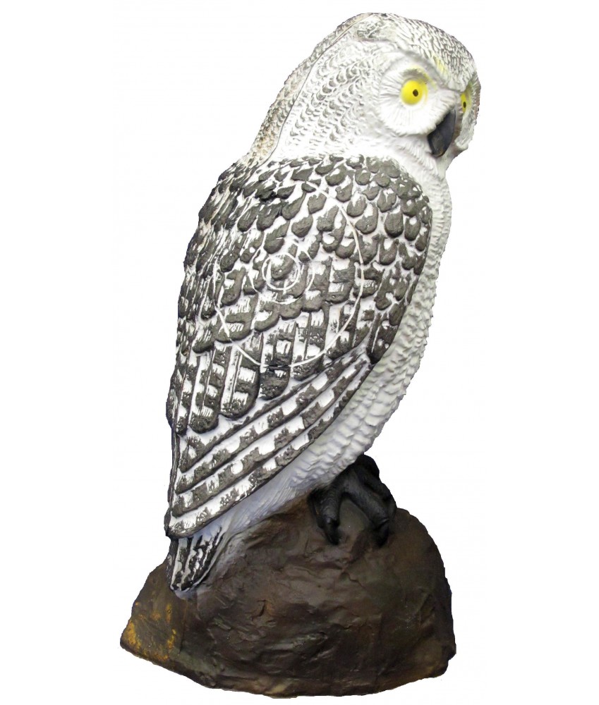 SRT - Cible 3D Chouette Blanche (White Screech Owl)
