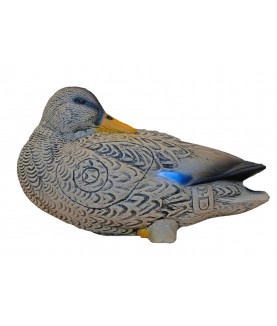 Cible 3D SRT Anatra Duck...