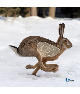 Blason 2D Ital Espanso Lièvre