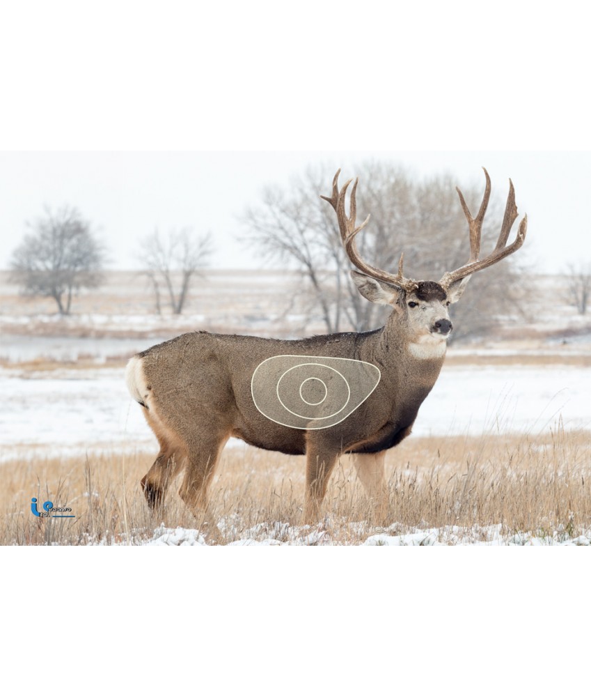 Blason 2D Ital Espanso Cerf