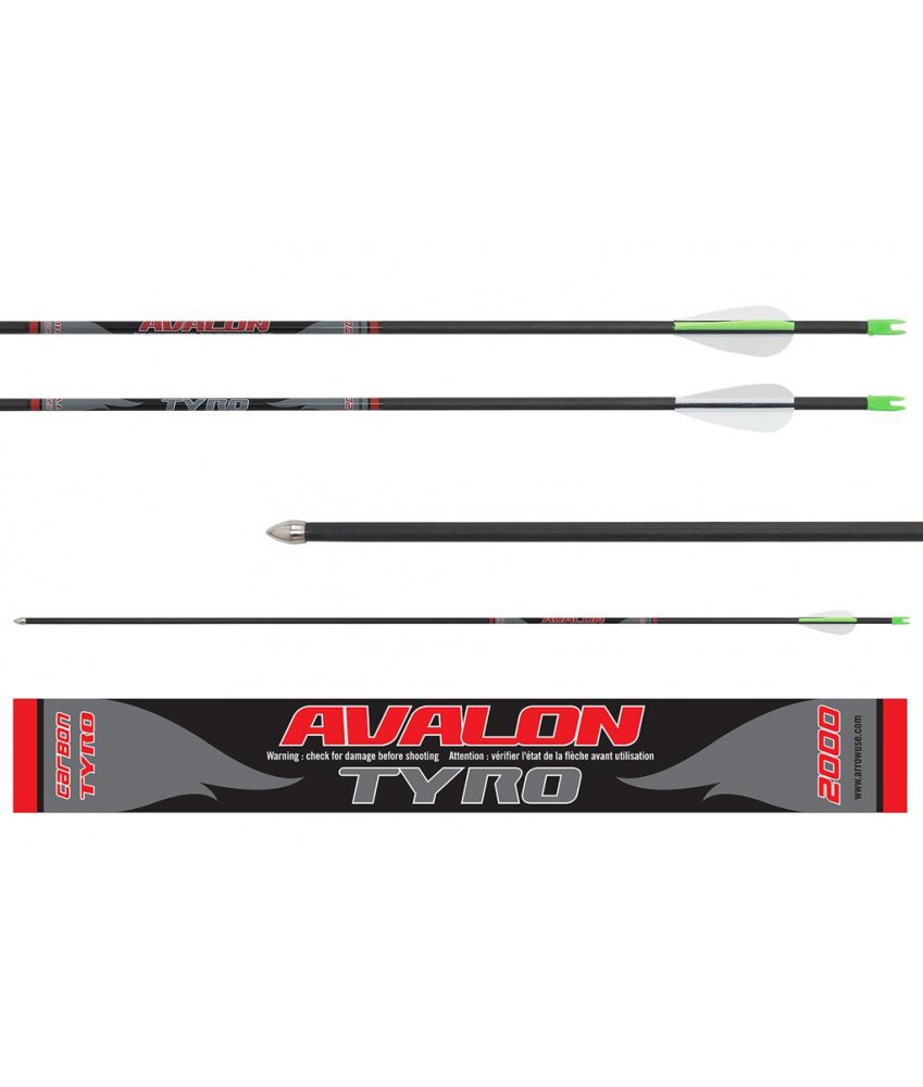 Flèche carbone Avalon Tyro 4.2