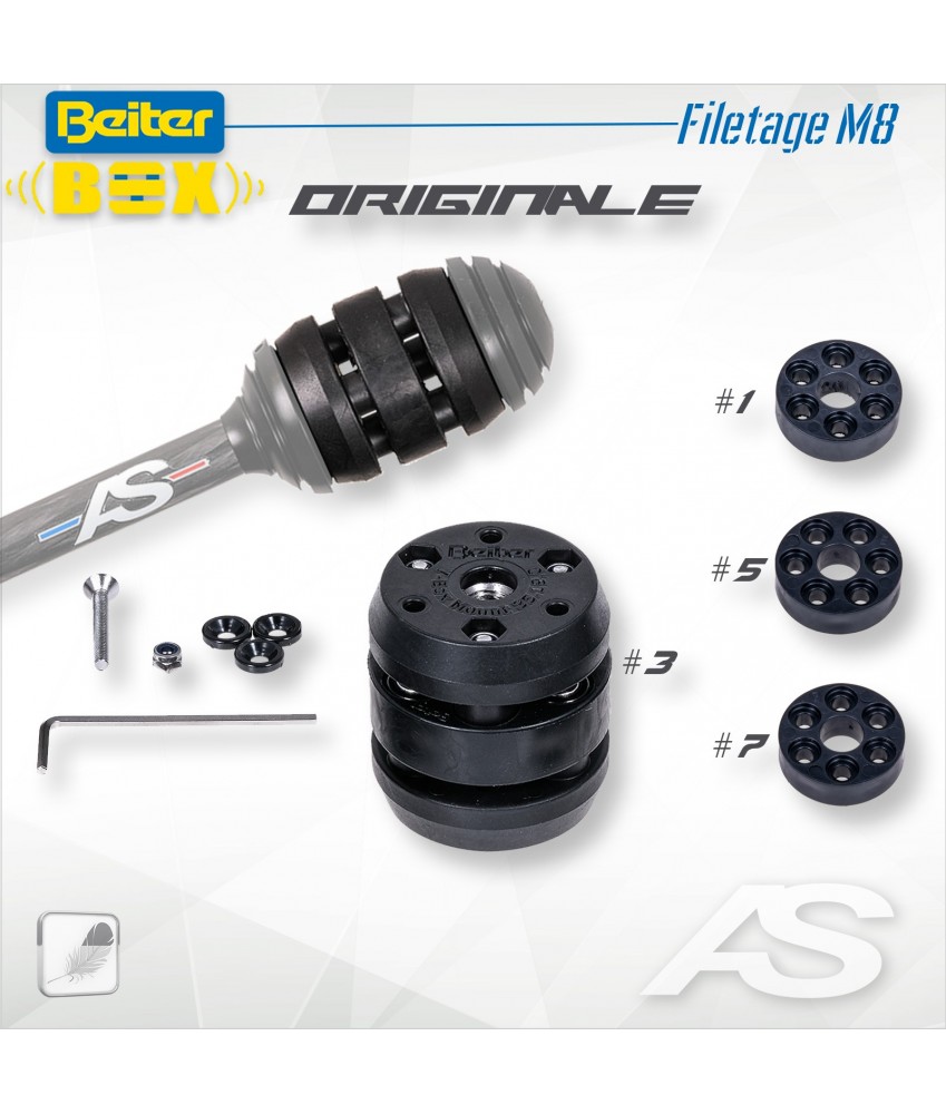 Kit Arc Système Beiter V-BOX M8