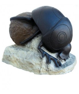 SRT - Cible 3D Scarabé (Beetle)