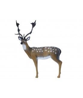 SRT - Cible 3D Daim (Fallow Deer)