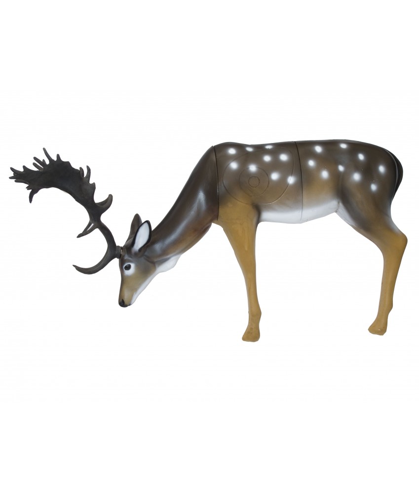 SRT - Cible 3D Daim aux pâturages (Fallow Deer grazing)