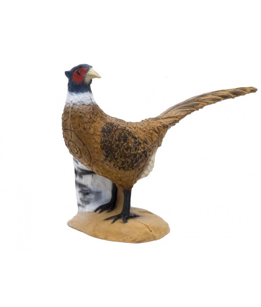 SRT - Cible 3D Faisan de Colchide (Pheasant)